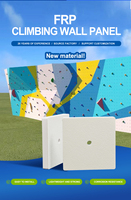 Panneau mural d'escalade en FRP résistant à l'humidité, sous-sol, salle de sport à domicile, résistant à la moisissure, durable, panneau sandwich en FRP pour escalade personnelle