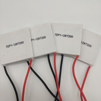 Taidacent TEP1-126T200 40x40 Teg Module 200C générateur de puissance thermoélectrique feuille de générateur thermoélectrique à semi-conducteur générateur thermoélectrique