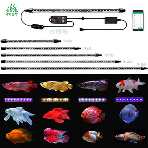 Arowana Tanning Light: Best Picks for 2025