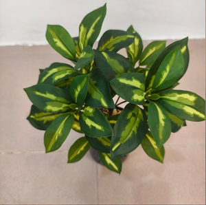 Árbol del Dinero Artificial, Planta Verde Decorativa en Maceta, Bonsái con Hojas de Dinero para Interiores, Sala de Estar - Product Image 4