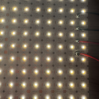 Panneau LED blanc pour scène, éclairage intelligent pour la maison, feuille SMD2835, lumières de Noël, indice de protection IP20, contrôle par application Wi-Fi, flexible, paysage, 24V DC
