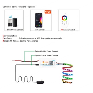 Controlador LED PWM WiFi Tuya DC12-24V, Atenuador de Luz de Tira, CCT/RGB/RGBW/RGBCW/RGBCCT, Compatible con Control por Voz Alexa, Control Remoto RF de 30m - Product Image 5