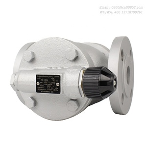 Vannes <span class=keywords><strong>de</strong></span> réduction <span class=keywords><strong>de</strong></span> <span class=keywords><strong>pression</strong></span> MIYAWAKI à commande pilote pour vapeur RE10N à bride 1,6 MPa 1/2 pouce-2 pouces 220 ℃   Fonte ductile FCD450 - Product Image 5