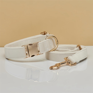 Conjunto de Correa para Perro HOT <span class=keywords><strong>2026</strong></span>, Nuevo Diseño con Letras Bordadas, Hebilla Metálica Dorada, <span class=keywords><strong>Collar</strong></span> de Terciopelo Premium para Mascotas - Product Image 4