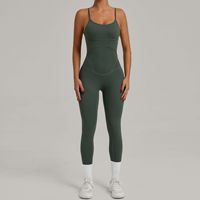 Aoyema Vêtements de sport Logo personnalisé Sexy Women Gym Fitness Wear One Piece Sleeveless High Elastic One Piece Yogo Running Jumpsuits