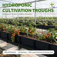 Gouttière hydroponique en PP résistant aux UV, grande capacité, pour la culture des plantes dans les jardins, serres et pépinières