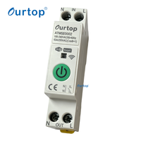 Interrupteur intelligent WiFi 63A ATMSE0002 avec minuterie à distance, surveillance de la consommation d'énergie et commande vocale