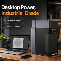 Machine de marquage laser portative efficace, système de gravure laser double avec contrôle précis pour le marquage des surfaces métalliques