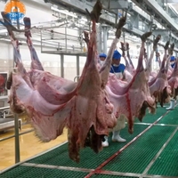 Proyecto Llave en Mano para Matadero de Ovejas, Línea de Procesamiento y Sacrificio de Cabras, Maquinaria de Acero Inoxidable, Equipo con Certificación CE