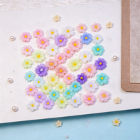 Breloques 3D en résine pour ongles, motif fleur de prunier, couleur bonbon, mini décorations florales mignonnes pour faux ongles, manucure DIY