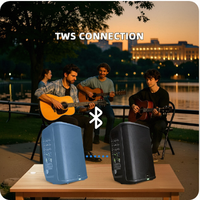 Haut-parleur PA actif de 8 pouces à batterie, 150W, prix d'usine, vente chaude, pour spectacles de rue, camping en extérieur, conférences, cafés, spectacles