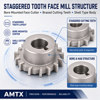 Fraise à face en carbure à dents escalonpées, à pointe brasée, taille personnalisée pour l'usinage CNC des métaux