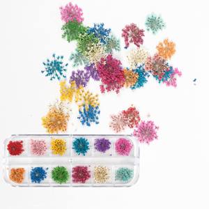 24 Uds flor Natural diseño 3D pegatina de uñas secas <span class=keywords><strong>manicura</strong></span> belleza suministro decorativo - Product Image 6