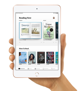สภาพดีเยี่ยม แท็บเล็ตมือสองขนาด 7.9 นิ้ว ของแท้ ปลดล็อคแล้ว รุ่น iPad Mini 5 4 3 2 ปรับสภาพใหม่ - Product Image 4