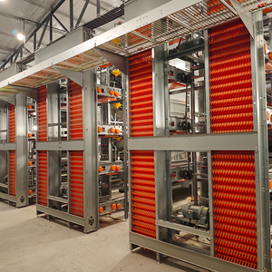 가금류 농업 장비 레이어 닭고기 계란 수집 시스템 10000 레이어 닭 자동 가금류 농장 새 케이지 판매 - Product Image 3