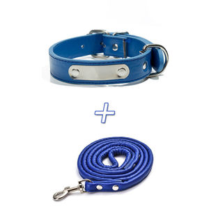 Ensemble de colliers et de laisses pour animaux de compagnie en plastique souple, durable, réglable, avec logo personnalisé OEM, luxe moderne, rechargeable, rubans, quincaillerie dorée, ID - Product Image 6