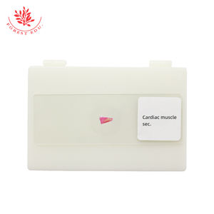 Hochschul bildung Herz muskel der menschlichen Sektion Histologie Folien - Product Image 5