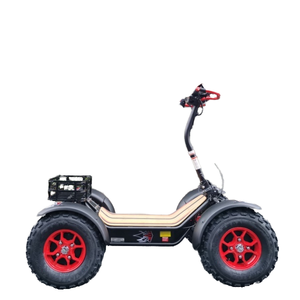 Scooter tout-terrain robuste LDOO avec pneus larges, suspension intégrale et électrique - Product Image 2
