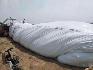 Service OEM d'approvisionnement en usine sac de silo agricole de <span class=keywords><strong>9</strong></span> pieds 10 pieds sacs de stockage d'ensilage en plastique de grain de <span class=keywords><strong>ferme</strong></span> 18 <span class=keywords><strong>mois</strong></span> résistance aux UV - Product Image 5