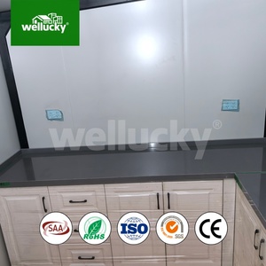 Casa Prefabricada Portátil Expandible WELLUCKY para <span class=keywords><strong>Alquiler</strong></span> en Airbnb, Casa Contenedor Expandible Completamente Amueblada con <span class=keywords><strong>Baño</strong></span> - Product Image 3