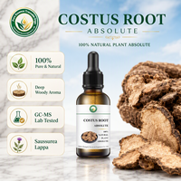 Absolue de racine de Costus (Saussurea Costus) de parfumerie fine pour la formule de parfums professionnels et la création de fragrances