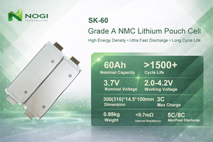 Batterie polymère lithium SK 3.7V 60Ah en pochette, haute sécurité, performance stable, pour système de stockage d'énergie solaire - Product Image 5