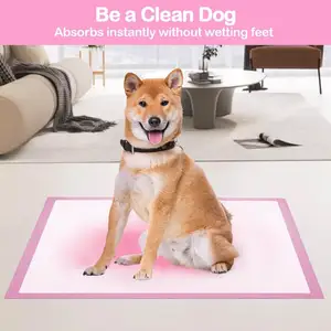 Wholesale Disposable Super Soft Pet Leak Proof Pads Pee Pads For Dogs Pet Training