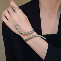 Ensemble de 2 pièces : Bague et bracelet en forme de serpent torsadé et enroulé, au design audacieux