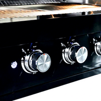 Barbecue à gaz encastrable en acier inoxydable noir, 4 brûleurs, appareil de cuisson pour cuisine extérieure