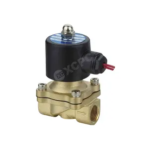 2/2 Cara 2 W Seri Jenis Drive Langsung Aperture Besar Solenoid Valve