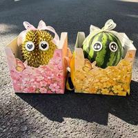 Decoratieve creatieve milieuvriendelijke biologisch afbreekbare laminaat cadeaudoos met handvat van gerecycleerde materialen, 2 mm dik, voor bloemen, fruit en durian.
