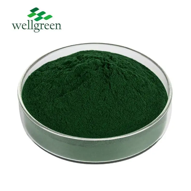 Organik toz Spirulina tozu satılık Spirulina ürünleri Spirulina tozu balık için