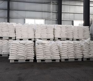 CAS 24-37-2 مسحوق كلوريد الباريوم عالي النقاء - Product Image 5