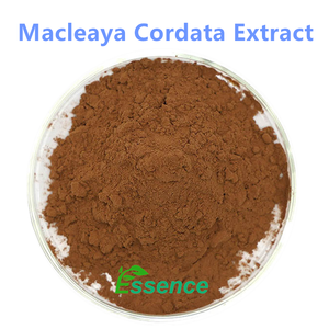 Extrait de plante naturelle 10:1 20:1 Poudre d'extrait de <span class=keywords><strong>Macleaya</strong></span> Cordata - Product Image 2