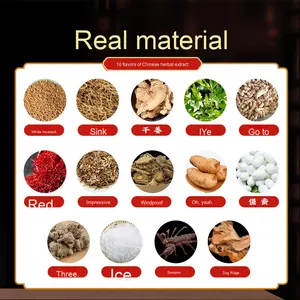 Sanfu Moxibustion Patch-medicina tradizionale cinese per il trattamento estivo malattia invernale - Product Image 2