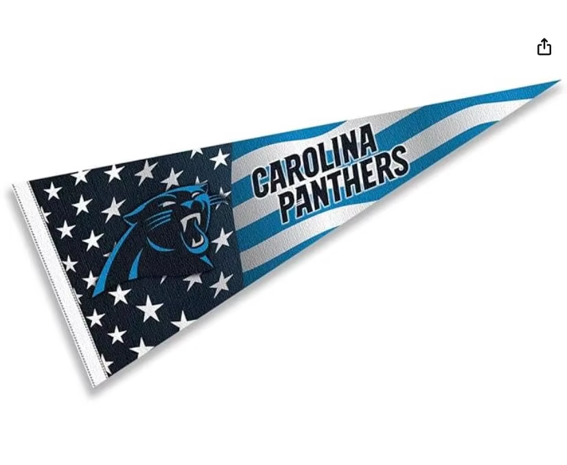 Carolina Panthers2