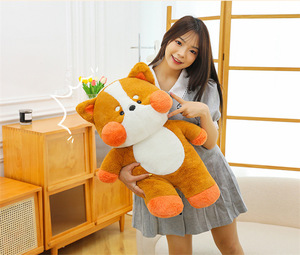 Lapin en peluche câlin poupée endormie chien paresseux poupée poupée de chiffon femme cadeau Super doux apaisant ours - Product Image 6