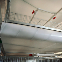 Nouveau Système d'élevage avicole entièrement automatique, Cages en batterie de type H en tôle galvanisée pour poulets pondeurs, Marque Zhuoyi, Garantie 1 an, pour l'élevage de poulets pondeurs