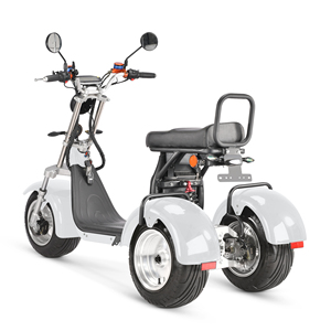 Tricycle électrique à trois roues de haute qualité 2026 à vendre, 4000w, double moteur, double batterie 60v40ah - Product Image 5