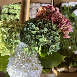 Flores Artificiales <span class=keywords><strong>Baratas</strong></span> de Fábrica Castle, <span class=keywords><strong>Hortensias</strong></span> de Seda con Tacto Real, <span class=keywords><strong>Hortensias</strong></span> Falsas Blancas y Azules con Tallo Decorativo - Product Image 3