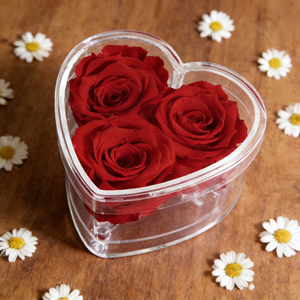 Caja de Flores Acrílica Cuadrada Transparente Personalizada al por Mayor para 3 Rosas - Personalizable - Product Image 1