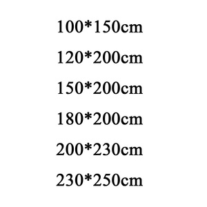 Vente en gros de produits Vente sur mesure <span class=keywords><strong>Imitation</strong></span> <span class=keywords><strong>fourrure</strong></span> de lapin Couvertures en fibre de polyester pour l'hiver Couleur unie Super king Queen Size - Product Image 6