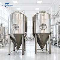Cuve de Fermentation 30bbl en Acier Inoxydable 304 – Équipement de Fermentation pour Bière, Facile à Utiliser, Idéal pour Restaurants et Exploitations Agricoles