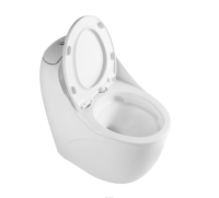 Ensemble de toilettes monobloc en céramique de luxe moderne, à double chasse, à fermeture douce, à poser au sol, avec chasse d'eau à jet siphonique, pour hôtel et villa
