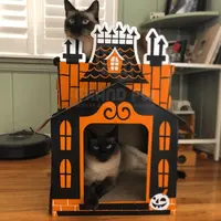 Karton oyun evi kedi süsleme kedi evi karton ekran mutlu cadılar bayramı için