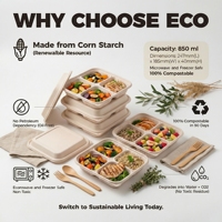 Conteneur alimentaire jetable pour restaurant, biodégradable, micro-ondable, étanche, capacité 700 ml, en amidon de maïs, emballage pour plats à emporter, boîte à lunch