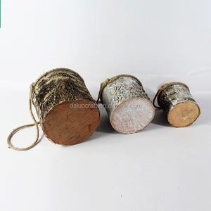 Proveedor al por mayor <span class=keywords><strong>de</strong></span> maceta colgante <span class=keywords><strong>de</strong></span> <span class=keywords><strong>cactus</strong></span> <span class=keywords><strong>y</strong></span> suculenta estilo granja para jardín <span class=keywords><strong>y</strong></span> uso interior - Product Image 2