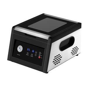 Machine d'emballage sous vide de table DZ-260 300 pour aliments, céréales et cornichons - Product Image 3