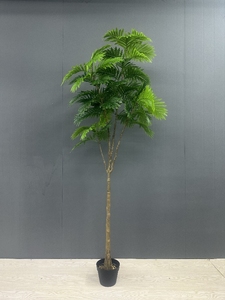 C811 Plante Artificielle Mini Palmier et Plastique Voyageur Basho Fan Plantes Bonsaï pour Décoration Intérieure - Product Image 5
