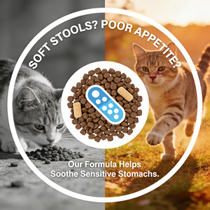 Nourriture pour chats à base de viande biologique naturelle, riche en protéines <span class=keywords><strong>et</strong></span> faible en matières grasses, soin gastro-intestinal, prise de poids, chaton adulte, toutes les étapes de vie, nourriture universelle - Product Image 5